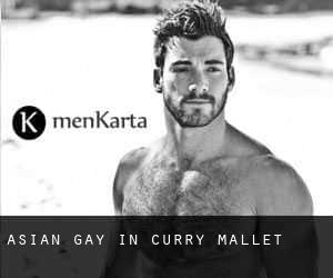 Asian Gay in Curry Mallet