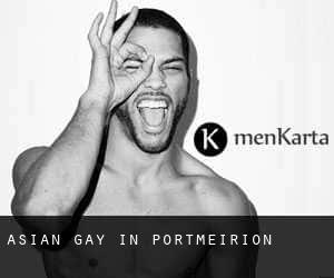 Asian Gay in Portmeirion