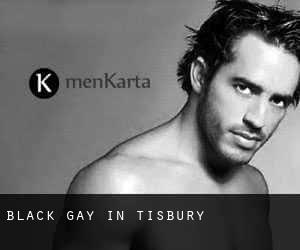 Black Gay in Tisbury
