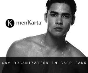 Gay Organization in Gaer-fawr