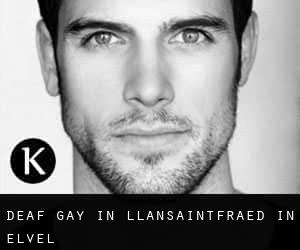 Deaf Gay in Llansaintfraed in Elvel