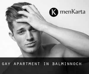 Gay Apartment in Balminnoch