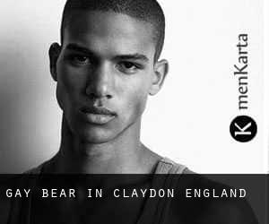 Gay Bear in Claydon (England)