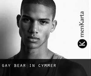 Gay Bear in Cymmer