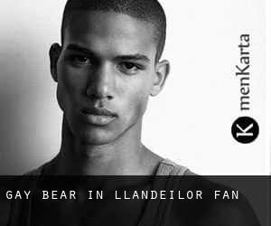 Gay Bear in Llandeilor-Fan