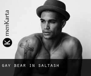 Gay Bear in Saltash