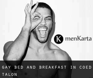 Gay Bed and Breakfast in Coed-Talon