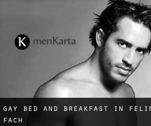 Gay Bed and Breakfast in Felin Fach