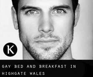 Gay Bed and Breakfast in Highgate (Wales)