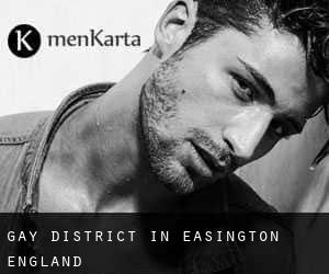 Gay District in Easington (England)