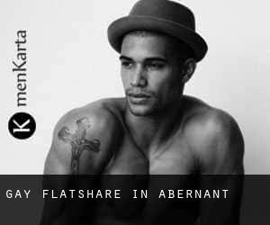 Gay Flatshare in Abernant