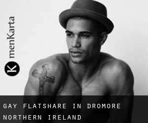 Gay Flatshare in Dromore (Northern Ireland)