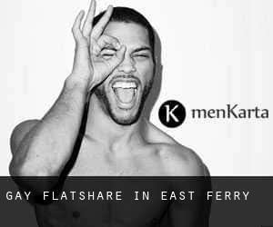 Gay Flatshare in East Ferry