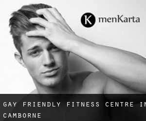 Gay Friendly Fitness Centre in Camborne