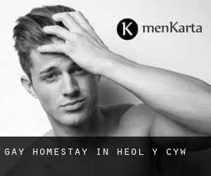 Gay Homestay in Heol-y-Cyw