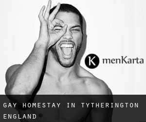 Gay Homestay in Tytherington (England)