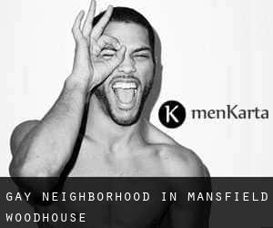 Gay Neighborhood in Mansfield Woodhouse