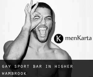 Gay Sport Bar in Higher Wambrook