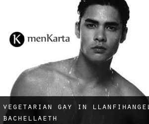 Vegetarian Gay in Llanfihangel Bachellaeth